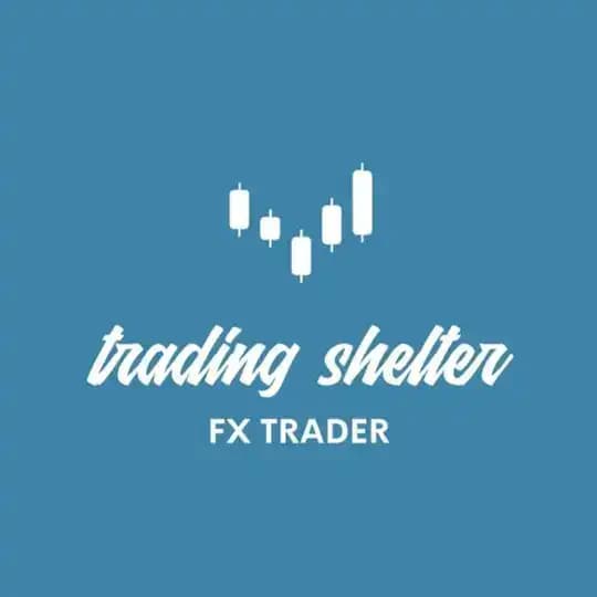 𝐓𝐡𝐞 𝐓𝐫𝐚𝐝𝐢𝐧𝐠 𝐒𝐡𝐞𝐥𝐭𝐞𝐫 Profile