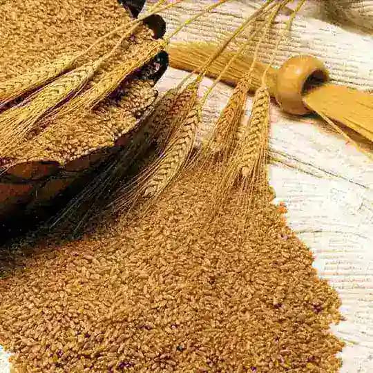 القطاع الخيري ( الثالث )🌿