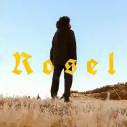 𝐓𝚑𝐢𝐬 𝙸𝚂 𝚁𝖔s𝕖𝖑. Profile