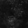 Thy Grave / Вена / Карга / Gass - 20.03.2026