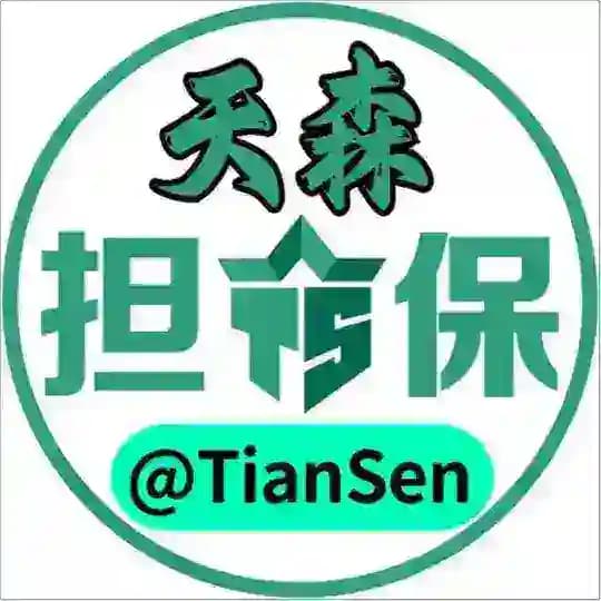 天森担保规则