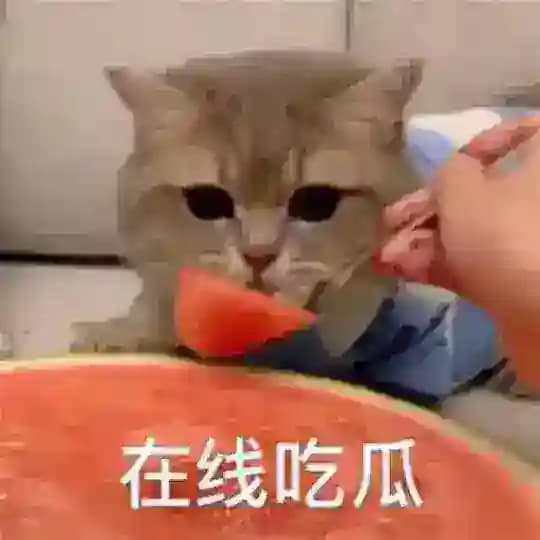 东南亚国内吃瓜（东南亚曝光）