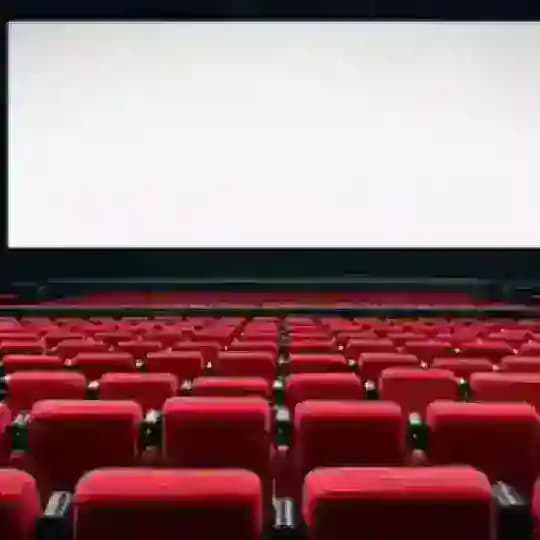 Ticketless(بدون بلیت)
