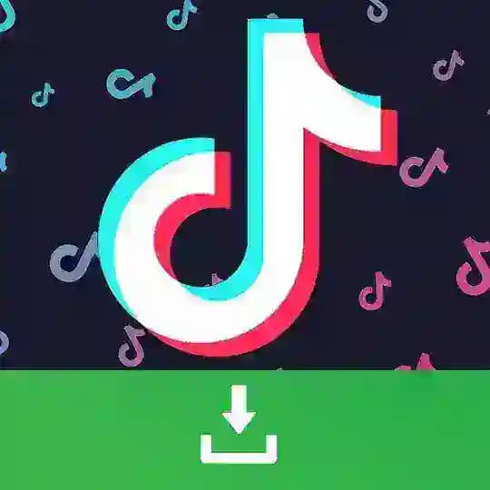 Tik Tok Downloader