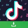 Tik Tok Downloader