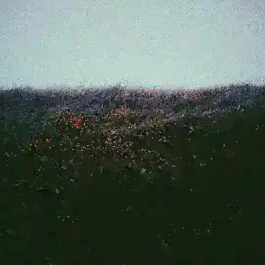 تیکه کتاب🤍