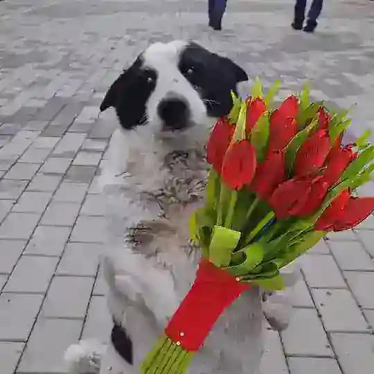 Тимашевск Новости