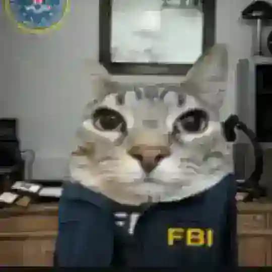 Criminal Cyber.
