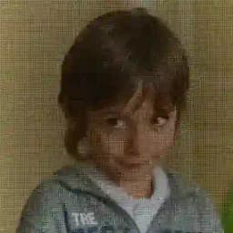 ትንሹ ባላባት Profile