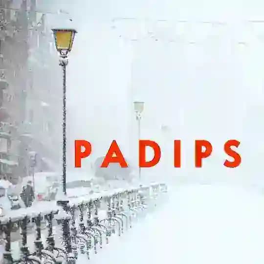 P A D I P S