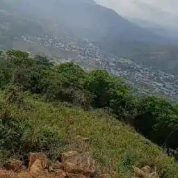 Videos locos y noticias Profile