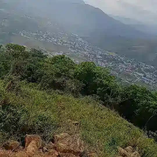 Videos locos y noticias Profile