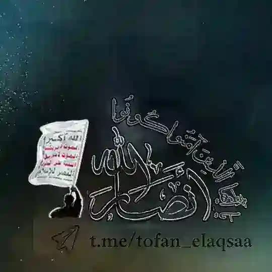 قناة أنصارالله