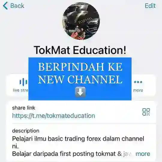 TOKMAT GOLD HUNTER