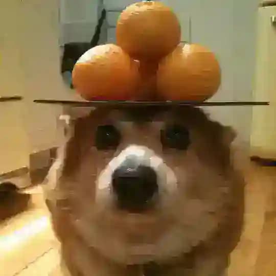 🍊 Один из сотен Crypto-каналов в твоей ленте