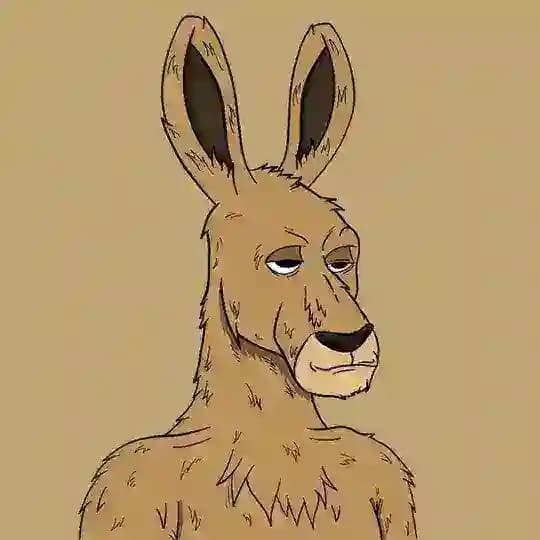 Kangarooz