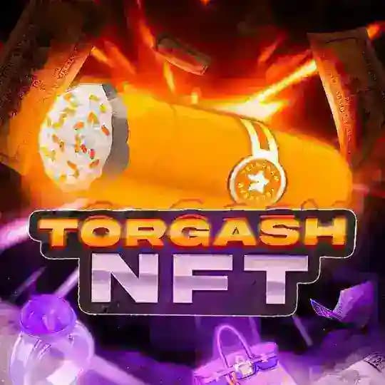 TORGASH NFT