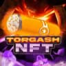 TORGASH NFT