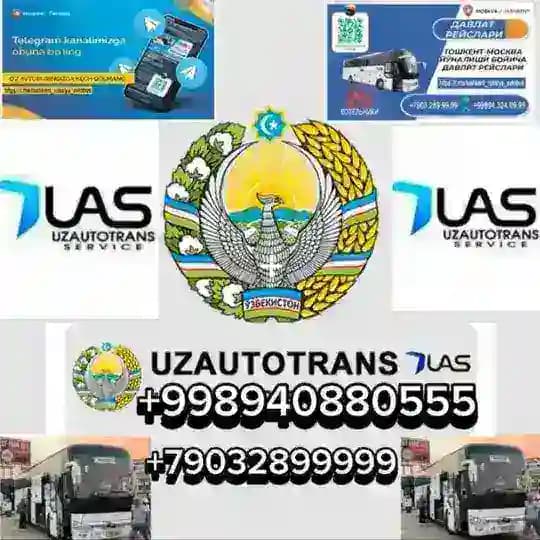 Toshkent Rossiya avtobus