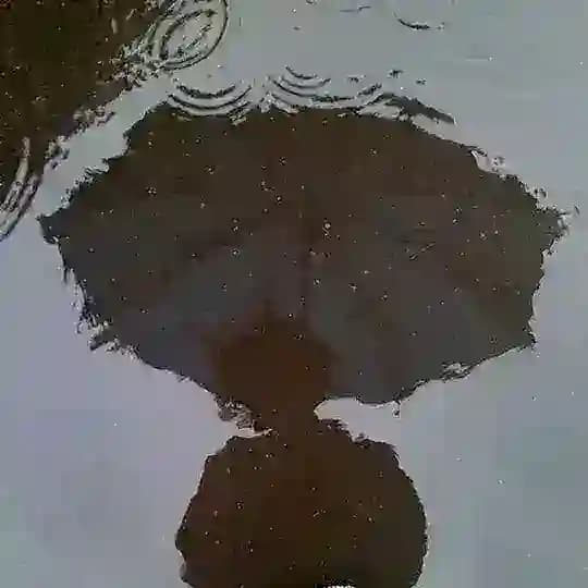 ֶָ֢ 𓂃ଲ ikhlɑs sᧉpᧉnuhnyɑ ୭ ˚. ᵎᵎ Profile