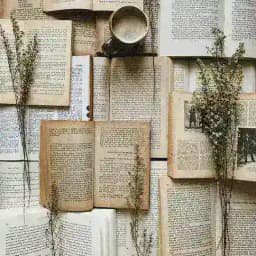 lenam.books ¹⁸⁺ Profile
