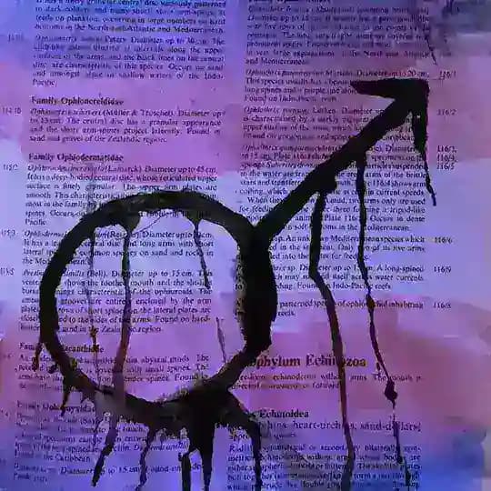 переходник trans men confession