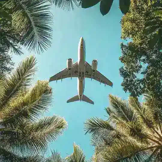 Travel | 360