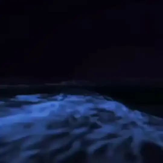 شغف