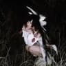 Нори (но не чипсинка) 彡