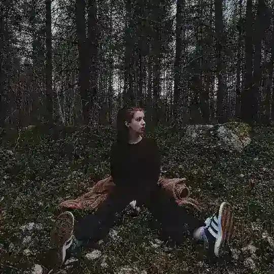 Скоты и гавгав.