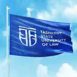 TSULbox | Photo, Video, Media, Files Profile