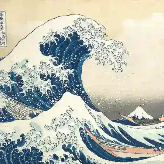 Tsunami Toulouse Profile