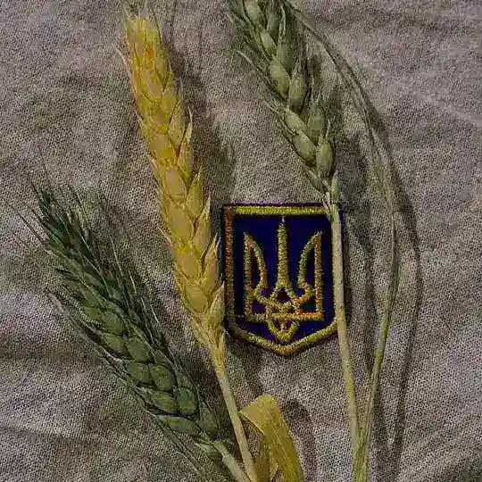 цитати українською 💌 Profile