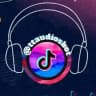 TikTok Audio Downloader Bot