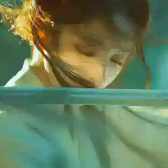 小白数据号
