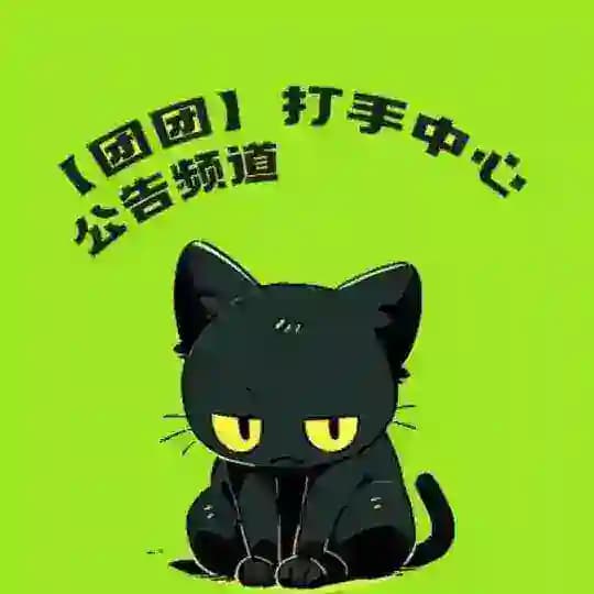 👑【团团】全球支付|2026前进（Tuan Global）