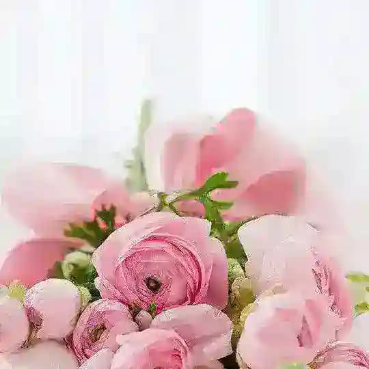 TUG'ULGAN KUN TABRIKLARI