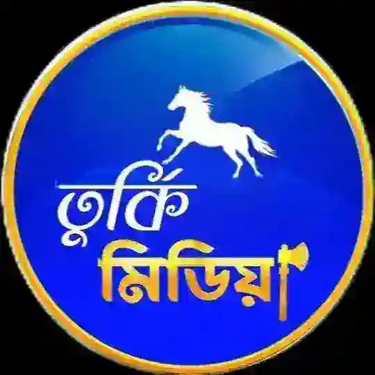 তুর্কি মিডিয়া