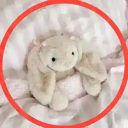 VIDNYA PIRAL