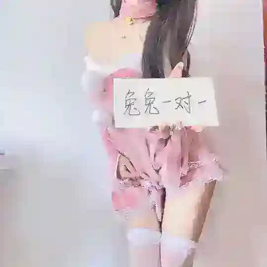 兔兔的朋友圈