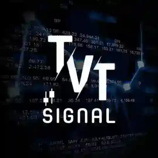 TvT•Signal Profile