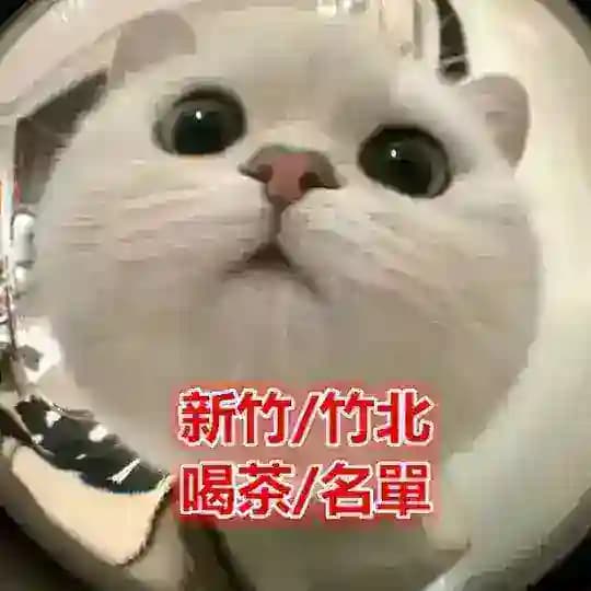 新竹/竹北妹妹類型及價位喝茶小棧每日更新中ing