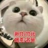 新竹/竹北妹妹類型及價位喝茶小棧每日更新中ing