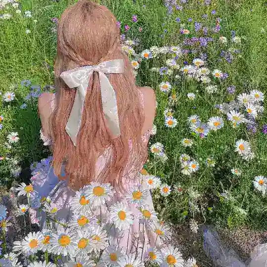 一路到北🌱Gleezy：tim898（雙北or新竹）