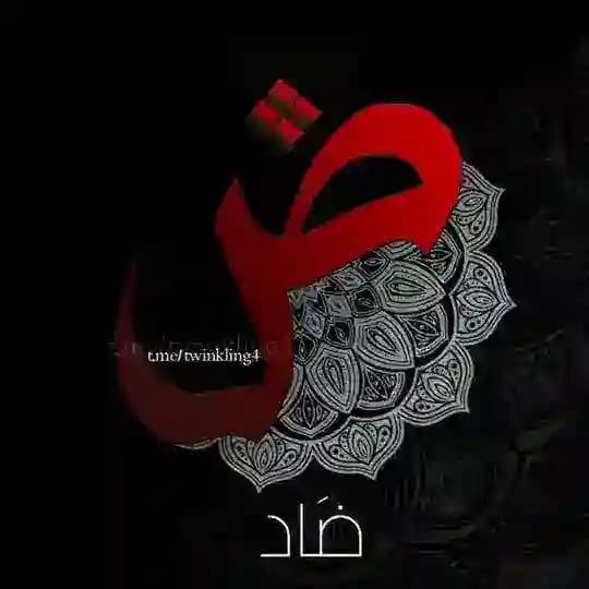 مكتبة ضاد الاحتياطية√