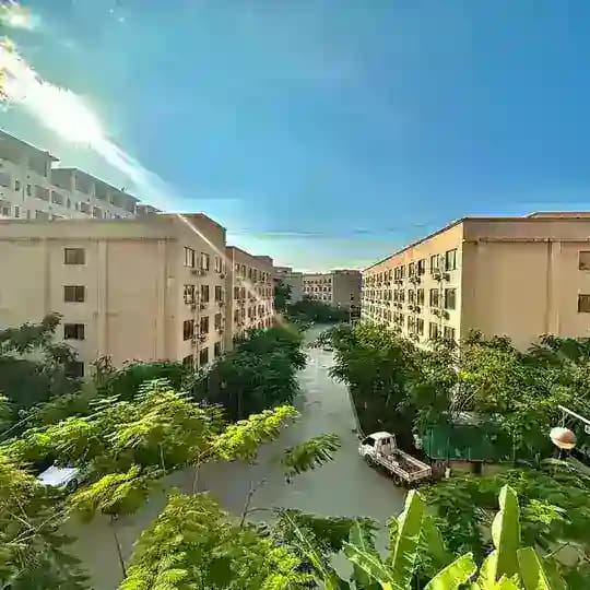 မြဝတီတစ်ဝိုက် အလုပ်အကိုင်အခွင့်လမ်းများ