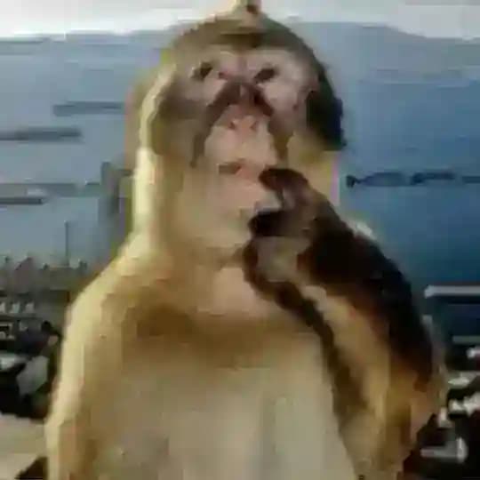 ГРЯЗНЫЙ.COM