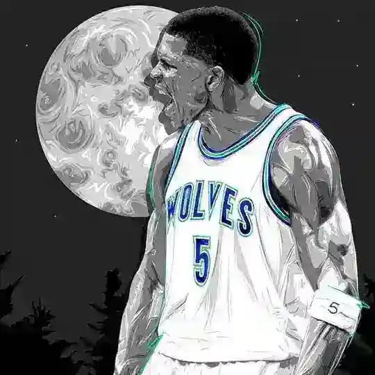 Волчья стая | Minnesota T-Wolves