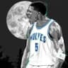 Волчья стая | Minnesota T-Wolves