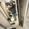 twwain